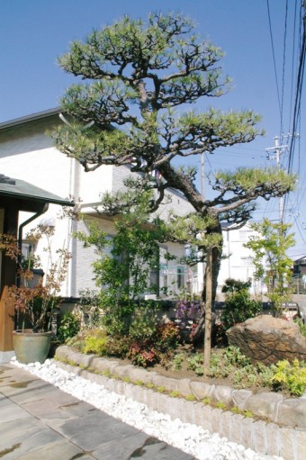 マツと暑さに強い植物と白玉石の小庭　廿日市市N様邸