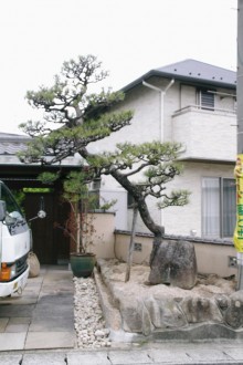 マツと暑さに強い植物と白玉石の小庭　廿日市市N様邸