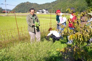 秋の野草酵素作り