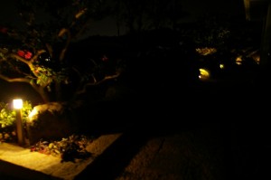 LEDライトで夜の足元も安心。モッコクの樹があるお庭