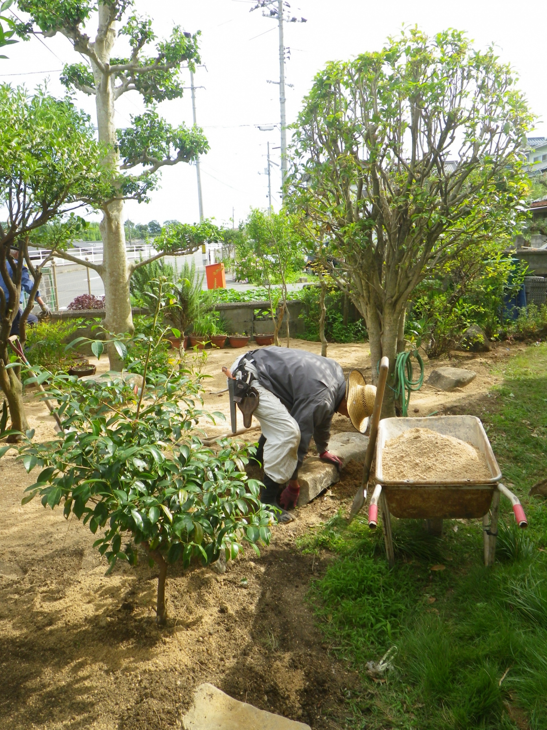 縁石の据え付け