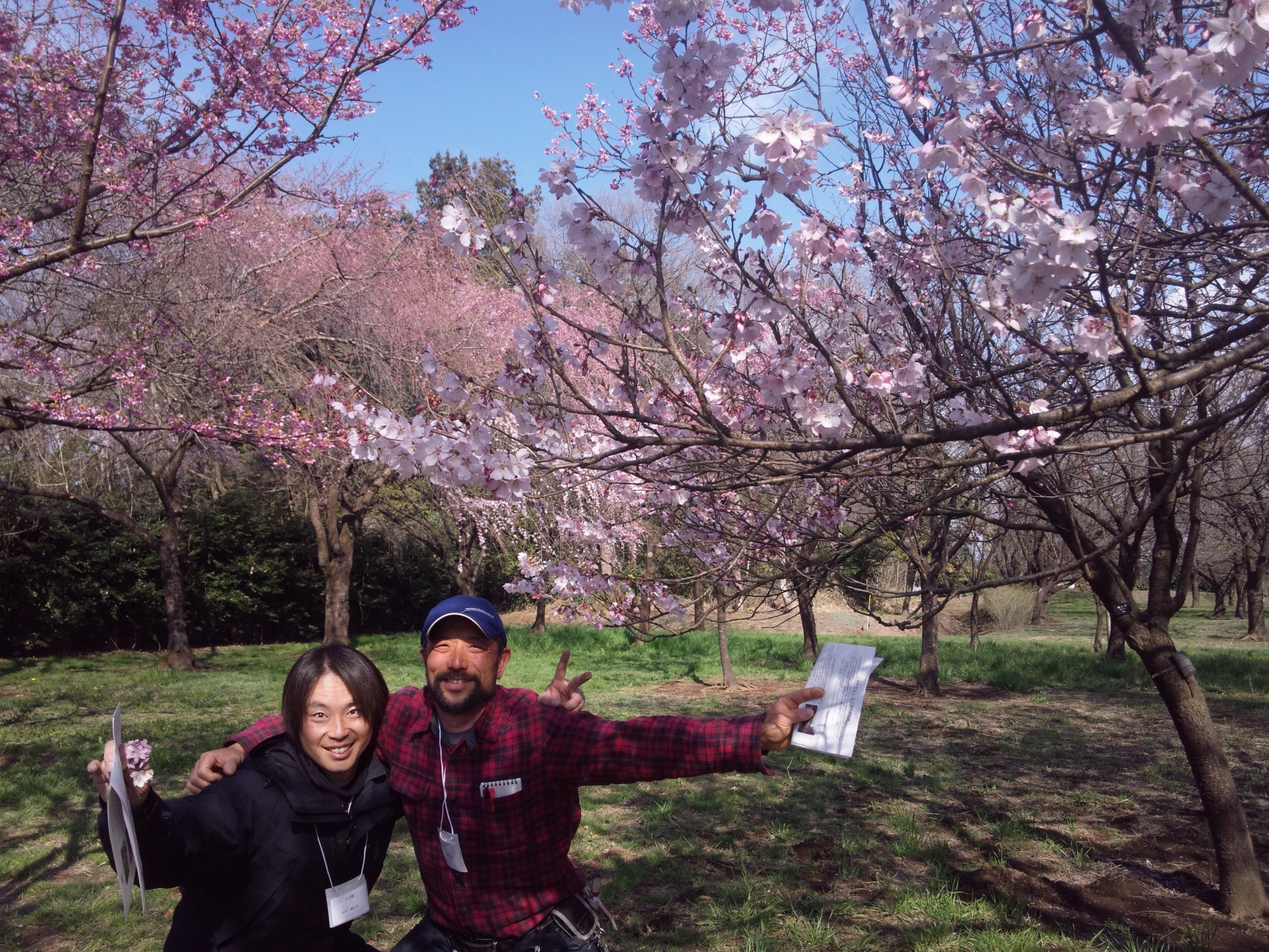 日本花の会結城農場を視察して　　茨城県結城市　