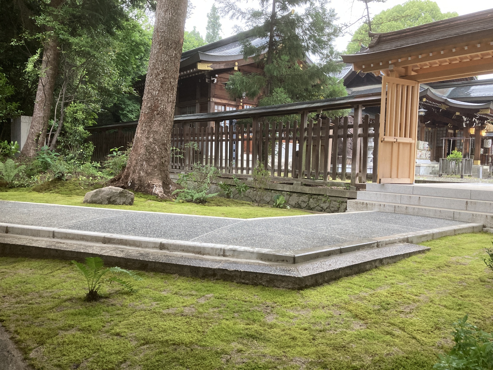 ハイゴケを利用した社殿の通路の苔庭　廿日市市　H神社
