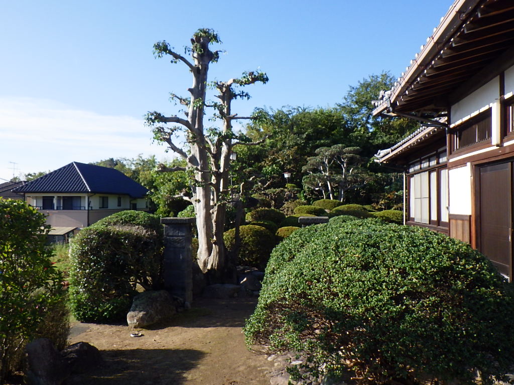 庭の大きな木や草の手入れに困っています。　　廿日市市　O様邸