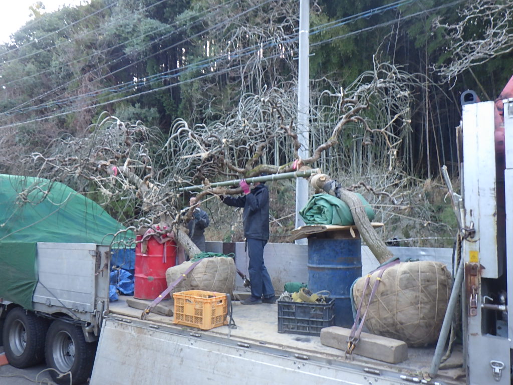 荷受