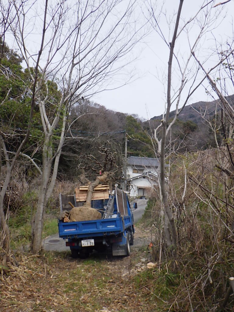 搬入